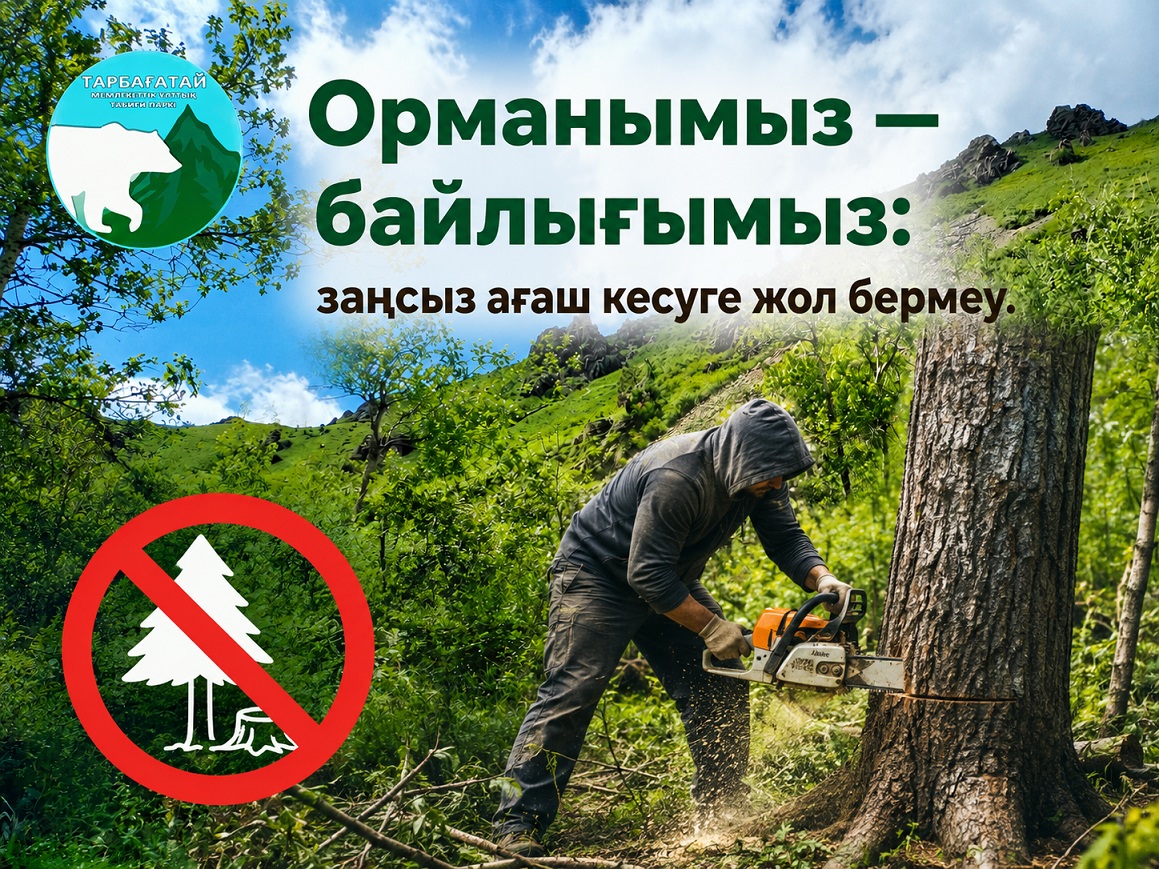 НАШ ЛЕС — НАШЕ БОГАТСТВО: НЕ ДОПУСТИМ НЕЗАКОННУЮ ВЫРУБКУ ЛЕСА