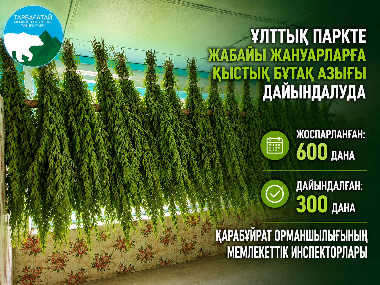 В НАЦИОНАЛЬНОМ ПАРКЕ ВЕДЁТСЯ ЗАГОТОВКА ВЕТОЧНОГО КОРМА ДЛЯ ДИКИХ ЖИВОТНЫХ