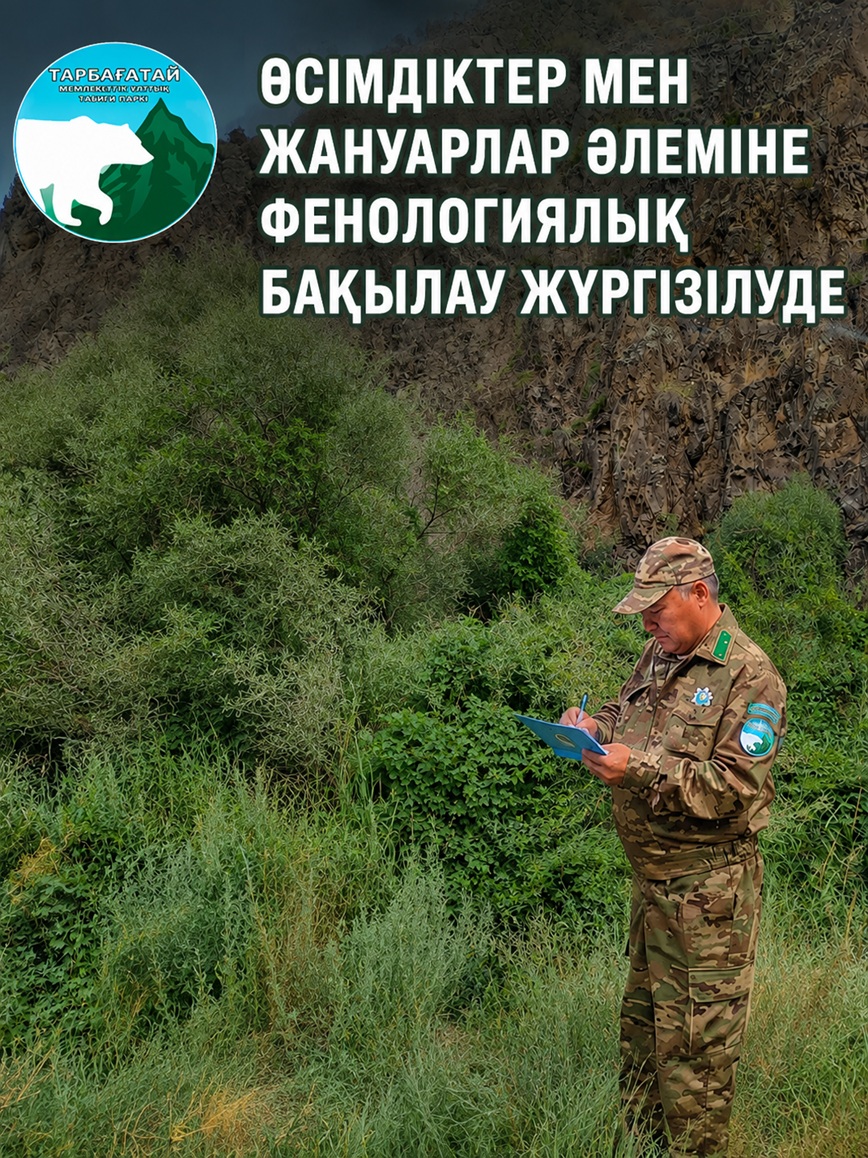 ПРОВОДИТСЯ ФЕНОЛОГИЧЕСКОЕ НАБЛЮДЕНИЕ ЗА РАСТИТЕЛЬНЫМ И ЖИВОТНЫМ МИРОМ