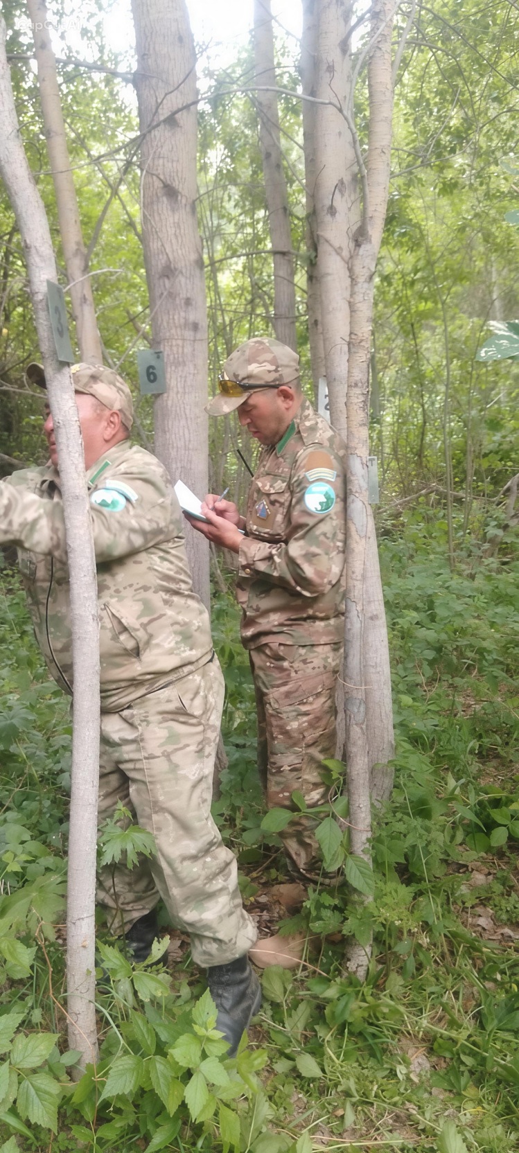 На территории национального парка проводятся фенологические наблюдения