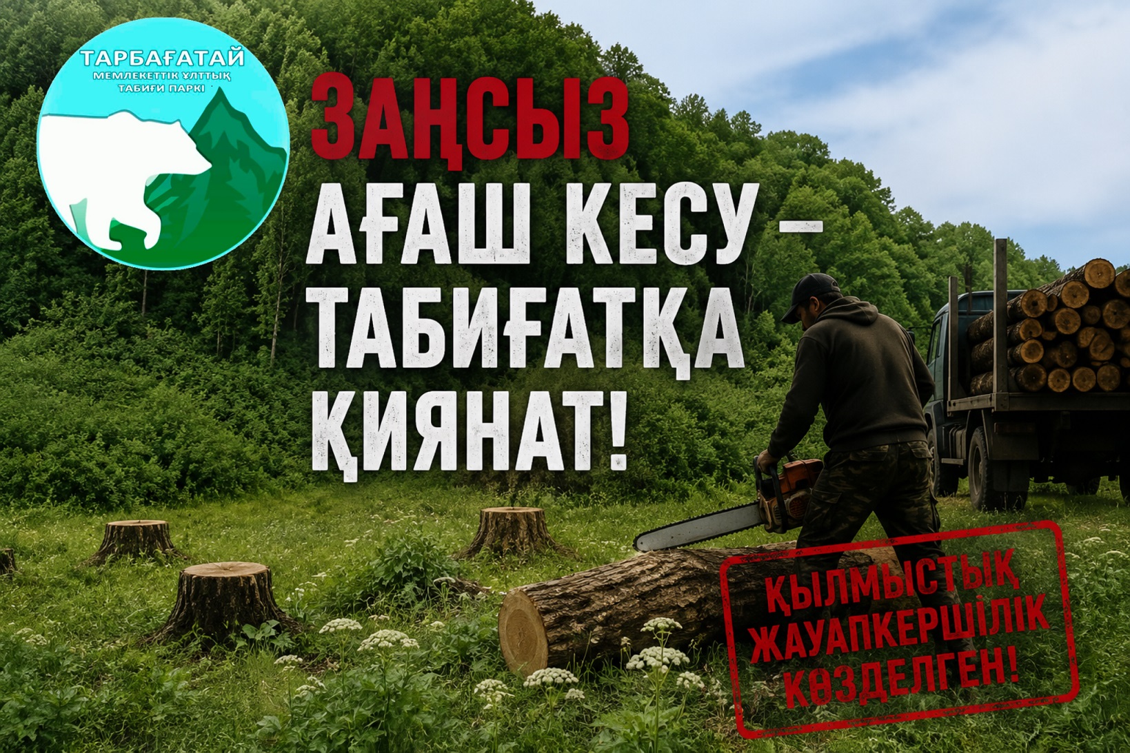  Незаконная вырубка леса — преступление против природы! 