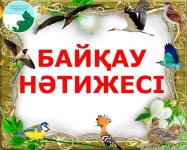 07.04.23 44