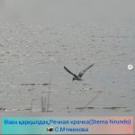 14.04.23 23
